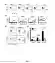 Fig. 07 - Use of cinnabarinic acid as a modulator of immune response in autoimmune disorders
