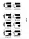 Fig. 15 - Use of cinnabarinic acid as a modulator of immune response in autoimmune disorders