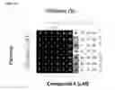 Fig. 06 - Combination therapy of tetracyclic quinolone analogs for treating cancer