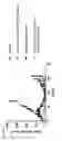 Fig. 12 - Combination therapy of tetracyclic quinolone analogs for treating cancer