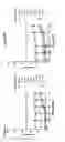 Fig. 13 - Combination therapy of tetracyclic quinolone analogs for treating cancer