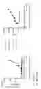 Fig. 17 - Combination therapy of tetracyclic quinolone analogs for treating cancer