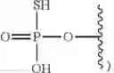 Fig. 05 - Substituted nucleosides, nucleotides and analogs thereof