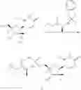 Fig. 220 - Substituted nucleosides, nucleotides and analogs thereof