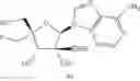 Fig. 242 - Substituted nucleosides, nucleotides and analogs thereof