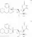 Fig. 306 - Substituted nucleosides, nucleotides and analogs thereof
