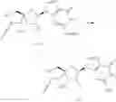 Fig. 312 - Substituted nucleosides, nucleotides and analogs thereof