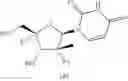 Fig. 314 - Substituted nucleosides, nucleotides and analogs thereof