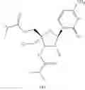 Fig. 323 - Substituted nucleosides, nucleotides and analogs thereof