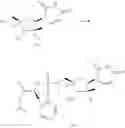 Fig. 345 - Substituted nucleosides, nucleotides and analogs thereof