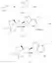 Fig. 358 - Substituted nucleosides, nucleotides and analogs thereof