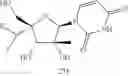 Fig. 414 - Substituted nucleosides, nucleotides and analogs thereof