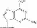 Fig. 570 - Substituted nucleosides, nucleotides and analogs thereof