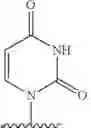 Fig. 571 - Substituted nucleosides, nucleotides and analogs thereof
