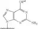 Fig. 93 - Substituted nucleosides, nucleotides and analogs thereof