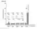 Fig. 27 - Chimeric antigen receptor and methods of use thereof