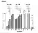 Fig. 29 - Chimeric antigen receptor and methods of use thereof