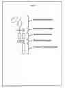 Fig. 31 - Chimeric antigen receptor and methods of use thereof