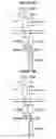 Fig. 34 - Chimeric antigen receptor and methods of use thereof