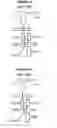 Fig. 40 - Chimeric antigen receptor and methods of use thereof