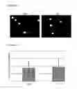 Fig. 06 - STEM CELL SUBPOPULATIONS WITH DIFFERENTIAL GSTT1 EXPRESSION OR GENOTYPE