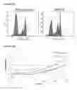 Fig. 10 - STEM CELL SUBPOPULATIONS WITH DIFFERENTIAL GSTT1 EXPRESSION OR GENOTYPE