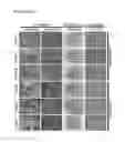 Fig. 25 - STEM CELL SUBPOPULATIONS WITH DIFFERENTIAL GSTT1 EXPRESSION OR GENOTYPE