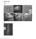 Fig. 27 - STEM CELL SUBPOPULATIONS WITH DIFFERENTIAL GSTT1 EXPRESSION OR GENOTYPE