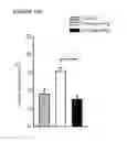 Fig. 30 - STEM CELL SUBPOPULATIONS WITH DIFFERENTIAL GSTT1 EXPRESSION OR GENOTYPE