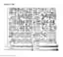 Fig. 32 - STEM CELL SUBPOPULATIONS WITH DIFFERENTIAL GSTT1 EXPRESSION OR GENOTYPE
