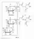 Fig. 15 - COMPOSITION CONTAINING PSEUDOMONAS AERUGINOSA CULTURE SOLUTION EXTRACT HAVING ANTIBIOTIC AND ANTISEPTIC ACTIVITIES, AND USE THEREOF