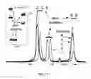 Fig. 20 - COMPOSITION CONTAINING PSEUDOMONAS AERUGINOSA CULTURE SOLUTION EXTRACT HAVING ANTIBIOTIC AND ANTISEPTIC ACTIVITIES, AND USE THEREOF