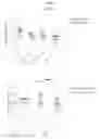Fig. 06 - Combination of oncolytic virus with immune checkpoint modulators