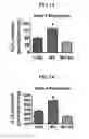 Fig. 02 - MITOCHONDRIAL-TARGETED ANTIOXIDANTS PROTECT AGAINST MECHANICAL VENTILATION-INDUCED DIAPHRAGM DYSFUNCTION AND SKELETAL MUSCLE ATROPHY
