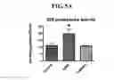 Fig. 06 - MITOCHONDRIAL-TARGETED ANTIOXIDANTS PROTECT AGAINST MECHANICAL VENTILATION-INDUCED DIAPHRAGM DYSFUNCTION AND SKELETAL MUSCLE ATROPHY