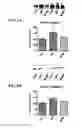 Fig. 09 - MITOCHONDRIAL-TARGETED ANTIOXIDANTS PROTECT AGAINST MECHANICAL VENTILATION-INDUCED DIAPHRAGM DYSFUNCTION AND SKELETAL MUSCLE ATROPHY