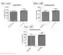 Fig. 13 - MITOCHONDRIAL-TARGETED ANTIOXIDANTS PROTECT AGAINST MECHANICAL VENTILATION-INDUCED DIAPHRAGM DYSFUNCTION AND SKELETAL MUSCLE ATROPHY
