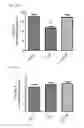 Fig. 18 - MITOCHONDRIAL-TARGETED ANTIOXIDANTS PROTECT AGAINST MECHANICAL VENTILATION-INDUCED DIAPHRAGM DYSFUNCTION AND SKELETAL MUSCLE ATROPHY