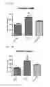 Fig. 25 - MITOCHONDRIAL-TARGETED ANTIOXIDANTS PROTECT AGAINST MECHANICAL VENTILATION-INDUCED DIAPHRAGM DYSFUNCTION AND SKELETAL MUSCLE ATROPHY