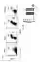 Fig. 07 - Vault complexes for cytokine delivery
