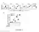 Fig. 10 - Modulation of cellular stress using a B-cell oxidative and/or endoplasmic reticulum stress inhibitor and a targeting agent