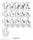 Fig. 21 - Modulation of cellular stress using a B-cell oxidative and/or endoplasmic reticulum stress inhibitor and a targeting agent