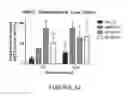 Fig. 34 - Modulation of cellular stress using a B-cell oxidative and/or endoplasmic reticulum stress inhibitor and a targeting agent