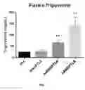 Fig. 02 - Methods for treatment of conditions associated with elevated triglycerides with an ANGPTL8 polypeptide fragment