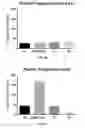 Fig. 04 - Methods for treatment of conditions associated with elevated triglycerides with an ANGPTL8 polypeptide fragment