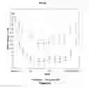 Fig. 07 - Pharmaceutical Combination for Use in Glycemic Control in Diabetes Type 2 Patients
