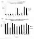 Fig. 08 - IMMUNOGENIC GLYCOPEPTIDES, COMPOSITION COMPRISING THE GLYCOPEPTIDES AND USE THEREOF