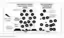 Fig. 01 - Metal-assisted and microwave-accelerated decrystallization