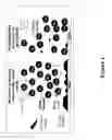 Fig. 02 - Metal-assisted and microwave-accelerated decrystallization