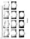 Fig. 07 - Metal-assisted and microwave-accelerated decrystallization